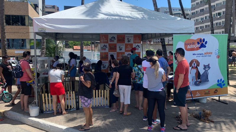 Feira de Adoção de animais irá ao shopping Pátio e à Rua Aberta no fim de semana