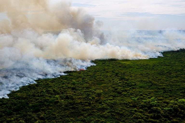 Projeto que regulamenta mercado de carbono está pronto para ser votado no Plenário