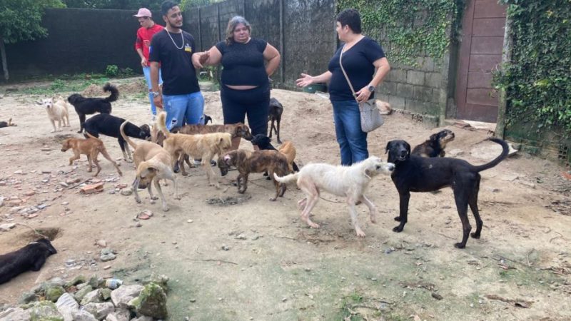 Comissão de Bem-Estar Animal da OAB Alagoas inspeciona abrigo de cães em Rio Largo