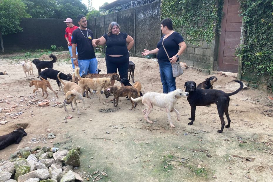 Comissão de Bem-Estar Animal da OAB Alagoas inspeciona abrigo de cães em Rio Largo