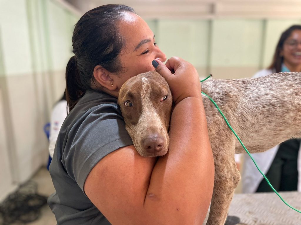 Projeto Meu Amigo Pet coleta sangue para castrar animais