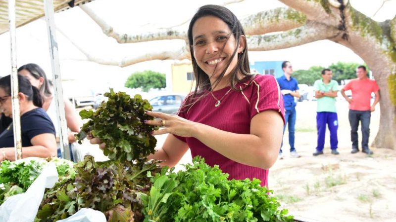 Arapiraca é palco do 1º Seminário Estadual sobre Horticultura Agrestina