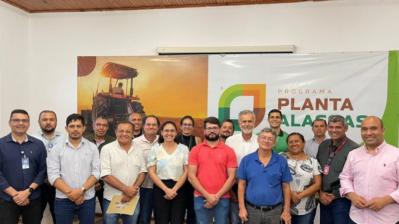 Alagoas possui mais de 20 mil estabelecimentos agropecuários produzindo mandioca