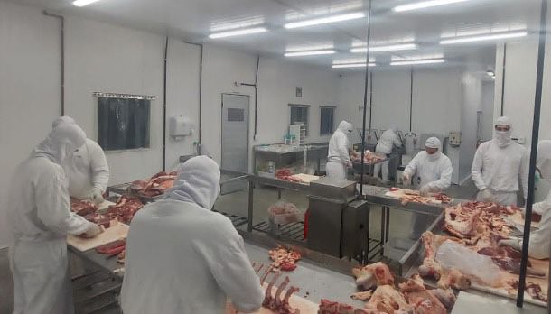 Cooperativa “Boi de Engenho” é a primeira marca de carne em Alagoas a conquistar selo do SISBI